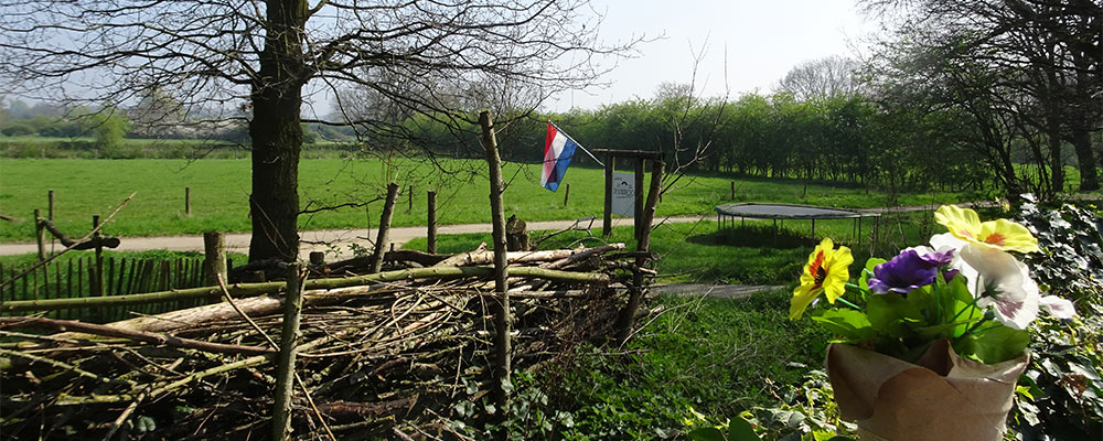 De heggen in de uiterwaarden van de Maas vanaf terras de Schutkooi