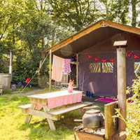 Camping BoerenBed Het Wesselink in regio Overijssel, Nederland