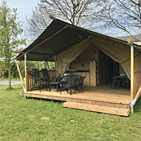 Camping De Zwammenberg in regio Noord-Brabant, Nederland