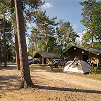 Camping Eurocamping Vessem in regio Noord-Brabant, Nederland