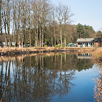 Camping Het Swinnenbos in regio Belgisch Limburg, België