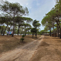 Camping La Tamarissière in regio Languedoc-Roussillon, Frankrijk