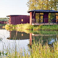 Camping Landal Forest Resort Your Nature in regio Henegouwen, België