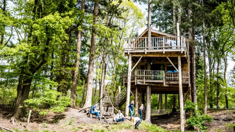 Bijzondere uitvoeringen voorbeeld