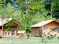 Witterzomer Safaritent