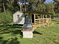 Wilsumer Berge The Blossom