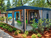 Lanterna Maro-Premium Home