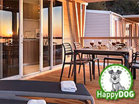 Lanterna Happy Dog-Premium Home