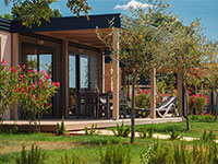 Lanterna Mediterannean Garden-Premium