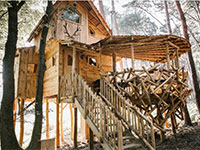 Warredal Tree House 3