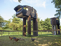 Vreemde Vogel Familie Struisvogel