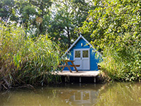 Vreemde Vogel Waterhoen