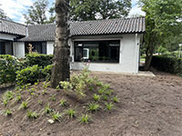 Bosgraaf groepsvilla 12p