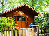 Eperwoud Houten huisje 4p 