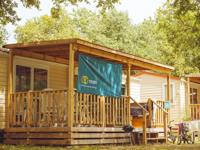 Premium Lounge Compact