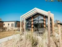 Zeeuwse Kust Zeester