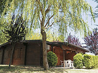 Chalet Comfort Dog