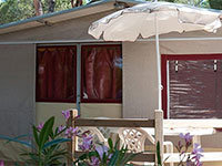 Lodge Tent