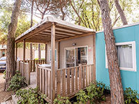 Lodge DeLuxe