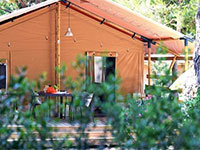 Safari Lodge
