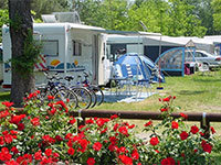 Stellplatz Comfort Dog