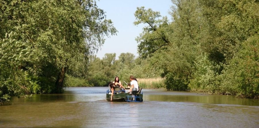 De Bieschbosch vanaf RCN de Faasbloem ontdekken De Bieschbosch vanaf RCN de Faasbloem ontdekken