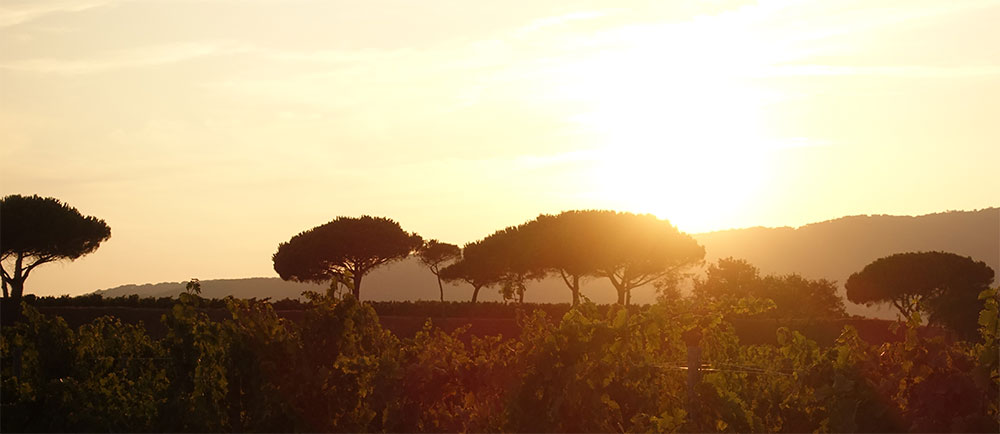 De verleidingen van de Côte d