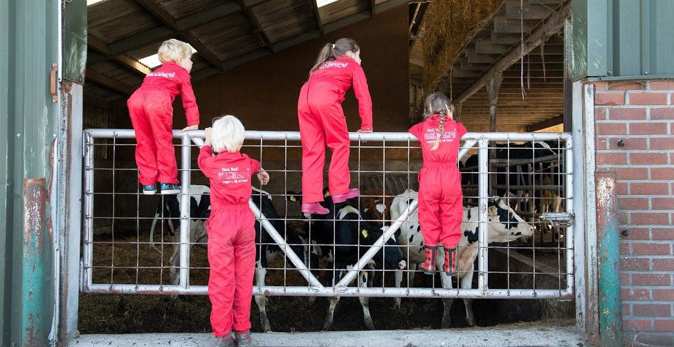 Vervelen op deze Boerderijcamping Boebadoe is geen optie Vervelen op deze Boerderijcamping Boebadoe is geen optie