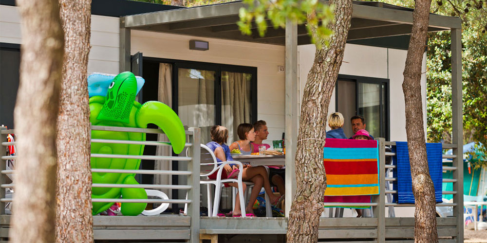 De Luxe Moda Plus van Canvas De Luxe Moda Plus van Canvas