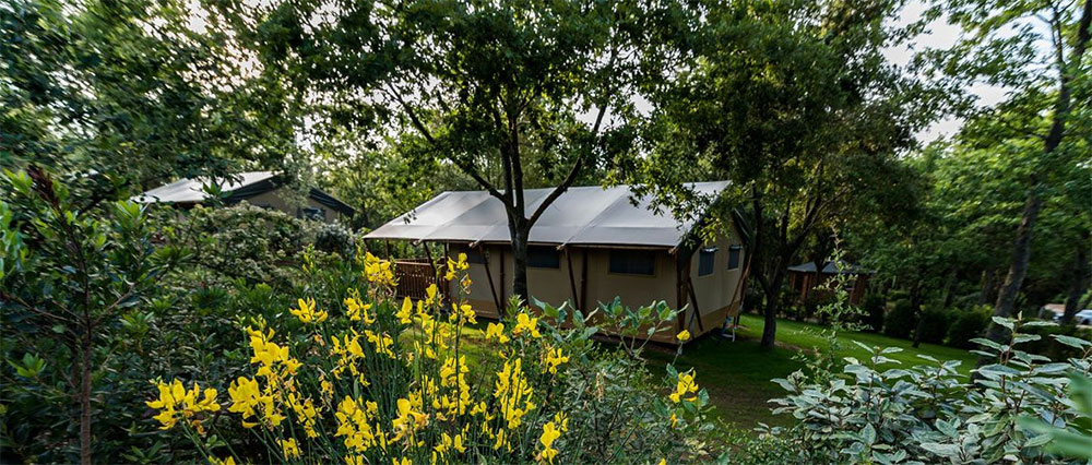 Tenuta Poggio Rosso, rust en ruimte, olijfbomen, kinderen welkom