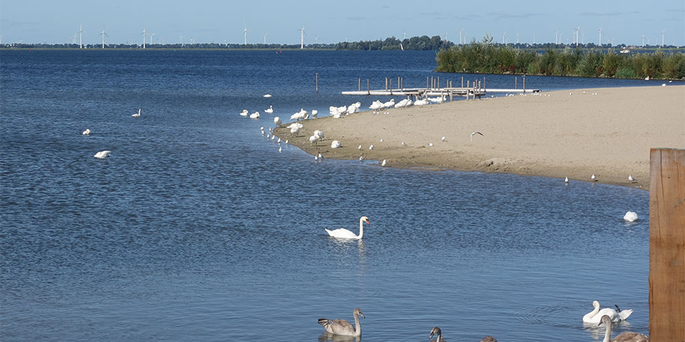 Uitzicht op het Wolderwijd Uitzicht vanaf terras Harderwijk op het Wolderwijd