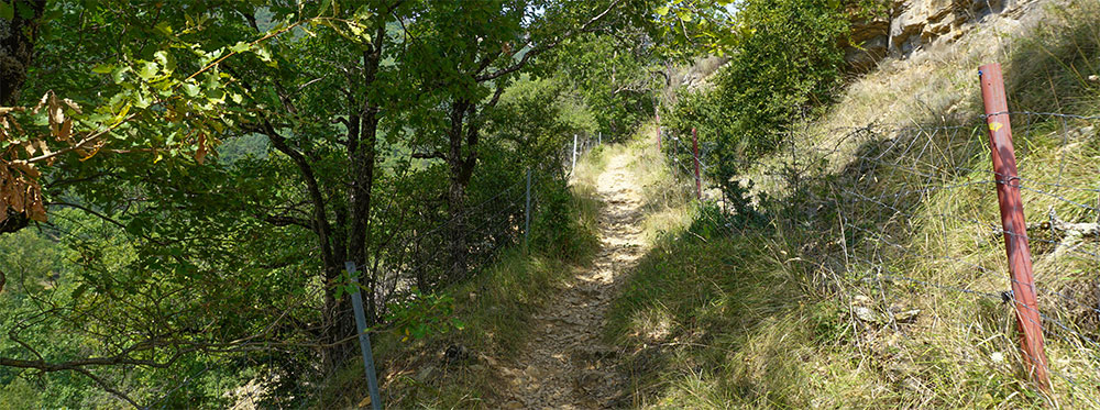 Wandeling naar Nant Wandeling naar Nant