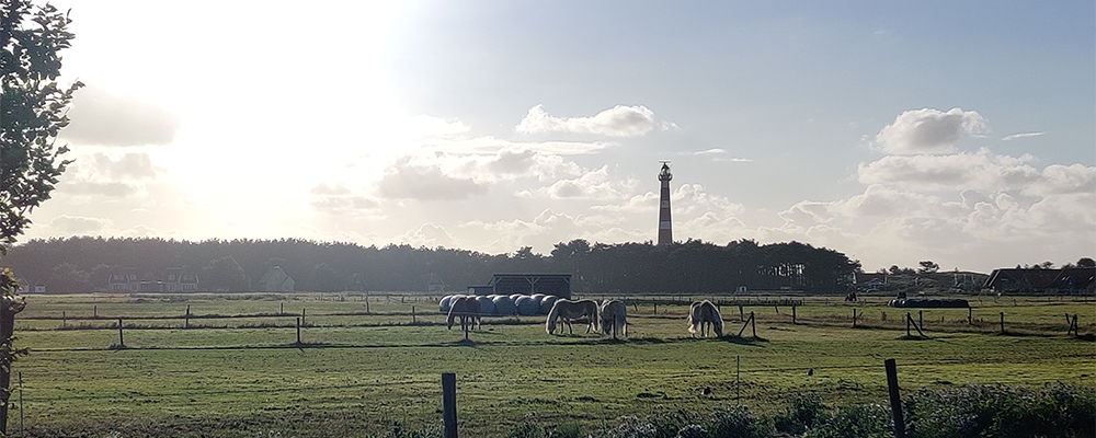 vuurtoren en sfeer ameland