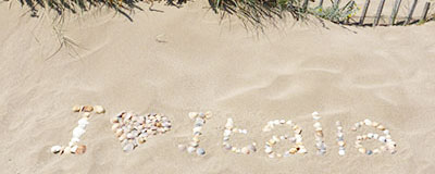 Wat is er nog beschikbaar in het hoogseizoen?