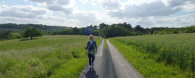 De paden op, de lanen in