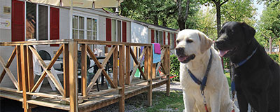 Top-10 Hondvriendelijke campings in Italie