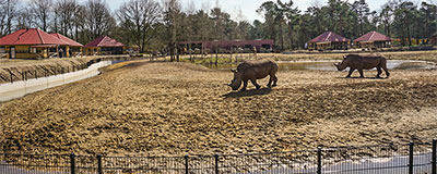De Beekse Bergen, wordt wakker tussen de dieren!