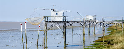 Genieten van het voorjaar in Poitou-Charentes