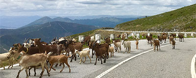 De natuur van Noord Portugal daagt ons uit