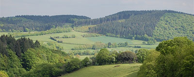 Dichtbij, kleinschalig en smakelijk glampen in wijnwalhalla Bourgondië