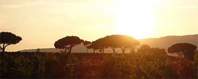 Maatregelen Europese Vakantielanden