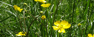In het vroege voorjaar naar de camping? Natuurlijk!