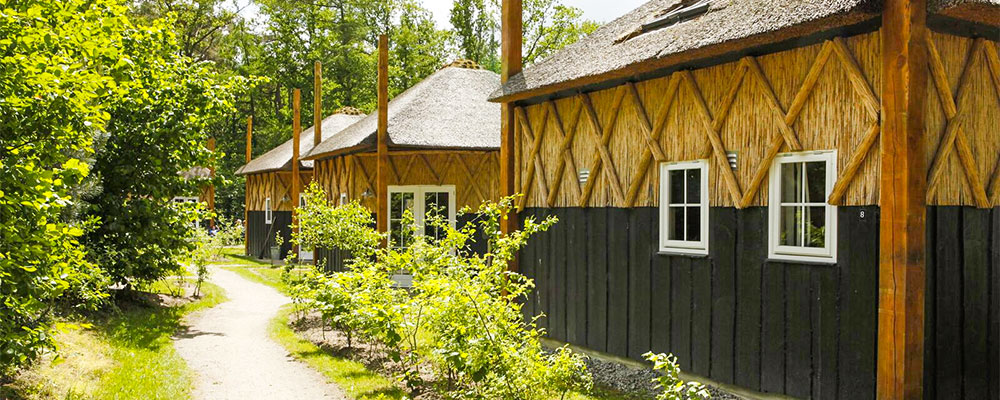 Winter in Drenthe, logeren in een Hooikiep op camping Norgerberg