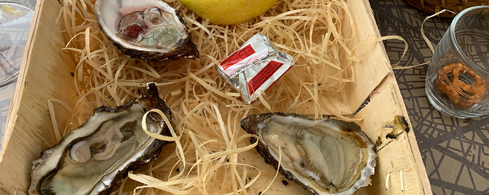 Oester en Mosselcultuur Les Boucholeurs
