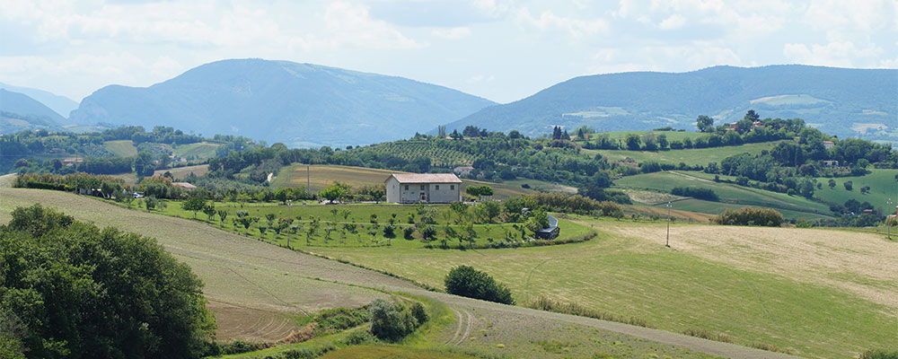 prachtig uitzicht over de groene heuvels rond Urbino prachtig uitzicht over de groene heuvels rond Urbino