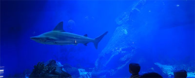 Een hartverwarmende ontmoeting in de Languedoc