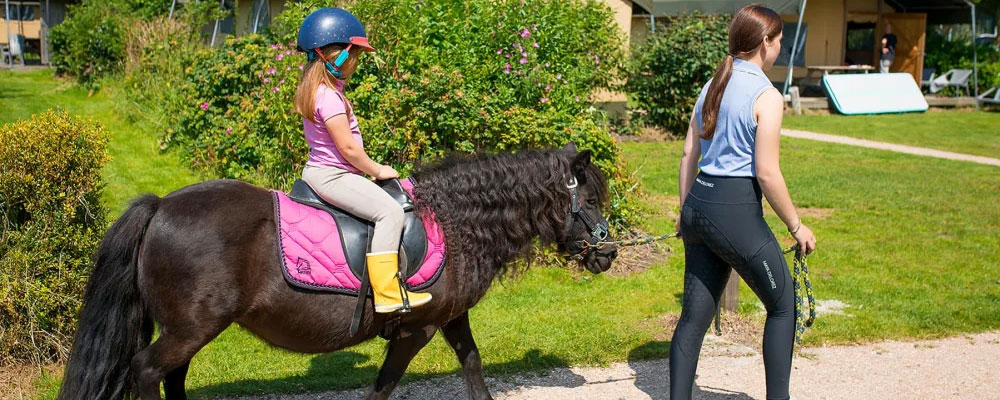 FarmCamps Fleur Stables