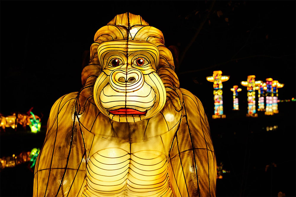 Africa by Light, Beekse Bergen