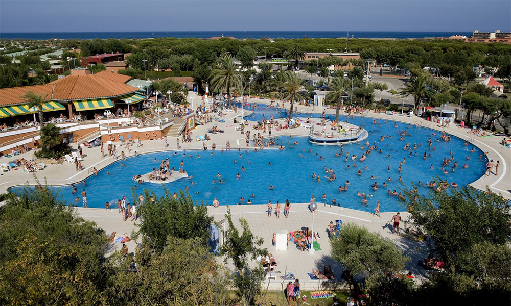 Zwembad in de vorm van een dolfijn