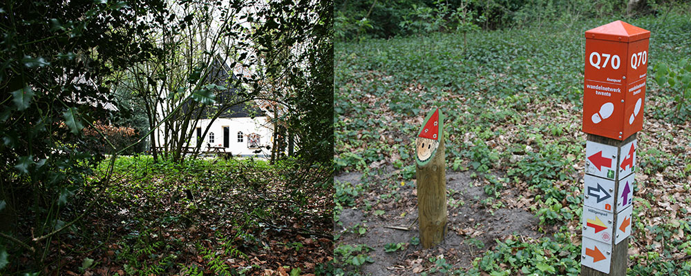 Beelden uit Overijssel